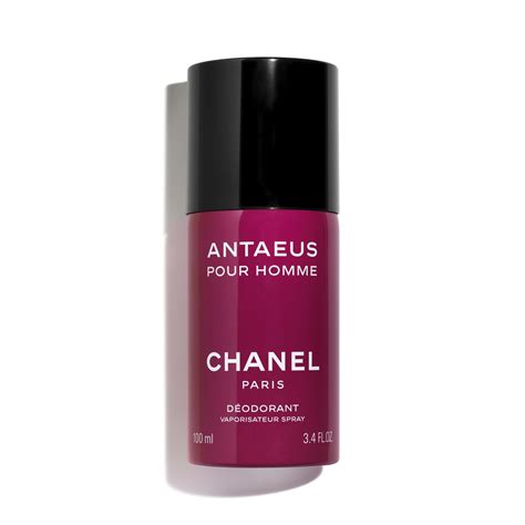 chanel antaeus deodorant spray 100ml|chanel antaeus best price.